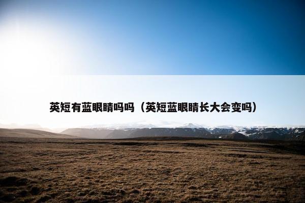 英短有蓝眼睛吗吗（英短蓝眼睛长大会变吗）