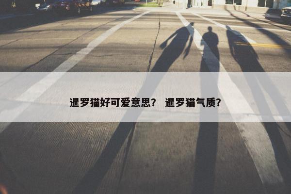 暹罗猫好可爱意思？ 暹罗猫气质？