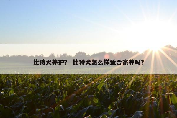 比特犬养护？ 比特犬怎么样适合家养吗？