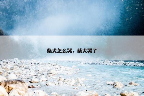 柴犬怎么哭，柴犬哭了