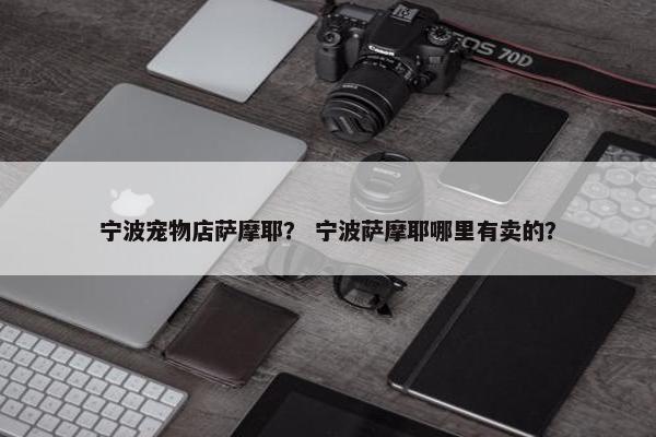 宁波宠物店萨摩耶？ 宁波萨摩耶哪里有卖的？