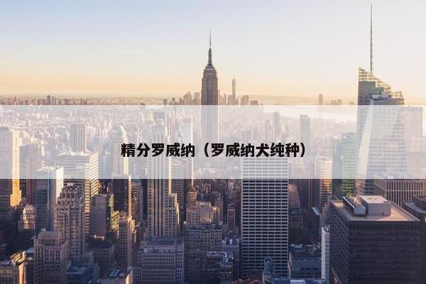 精分罗威纳（罗威纳犬纯种）