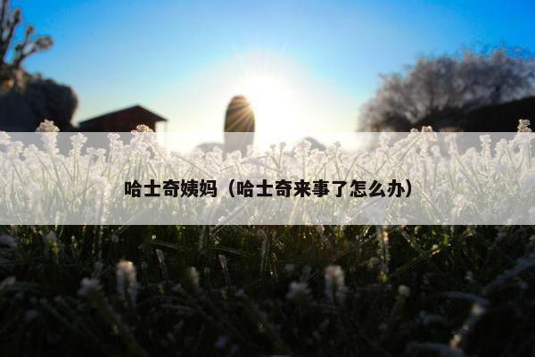 哈士奇姨妈（哈士奇来事了怎么办）