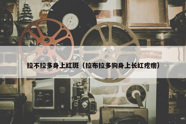 拉不拉多身上红斑（拉布拉多狗身上长红疙瘩）