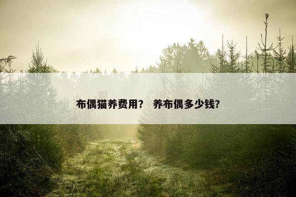 布偶猫养费用？ 养布偶多少钱？