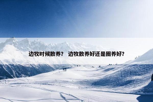 边牧时候散养？ 边牧散养好还是圈养好？