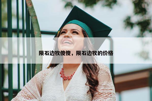 陨石边牧傻傻，陨石边牧的价格