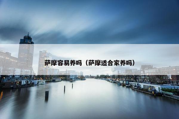 萨摩容易养吗（萨摩适合家养吗）