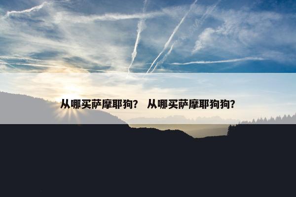 从哪买萨摩耶狗？ 从哪买萨摩耶狗狗？