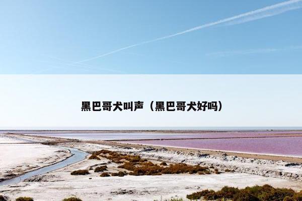黑巴哥犬叫声（黑巴哥犬好吗）