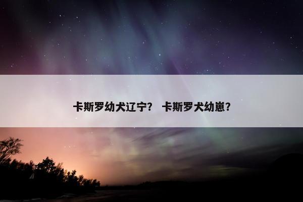 卡斯罗幼犬辽宁？ 卡斯罗犬幼崽？