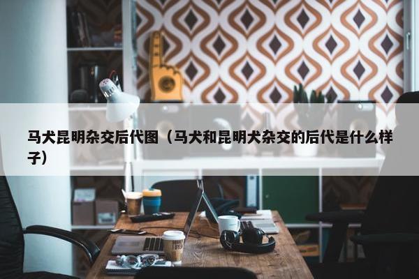 马犬昆明杂交后代图（马犬和昆明犬杂交的后代是什么样子）