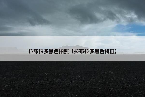 拉布拉多黑色拍照（拉布拉多黑色特征）