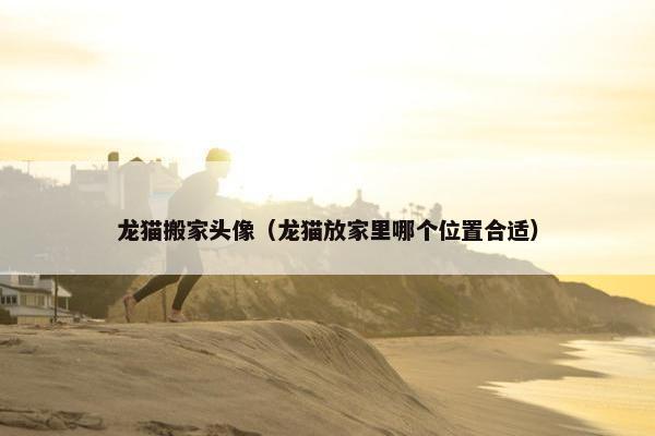 龙猫搬家头像（龙猫放家里哪个位置合适）