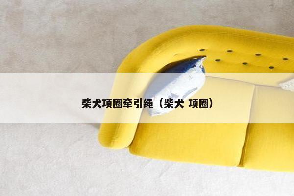 柴犬项圈牵引绳（柴犬 项圈）