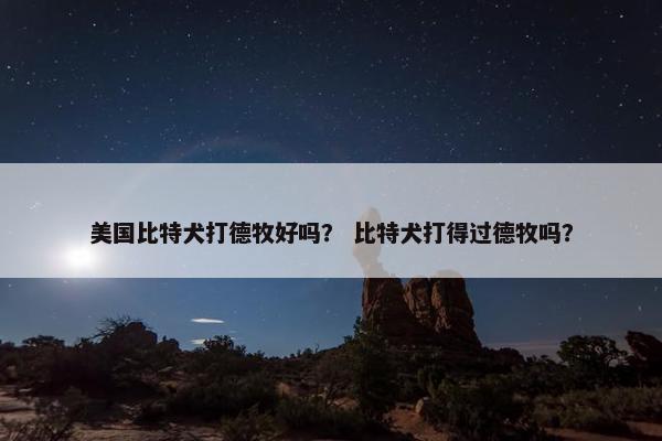 美国比特犬打德牧好吗？ 比特犬打得过德牧吗？