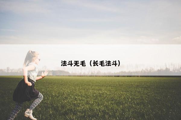 法斗无毛（长毛法斗）