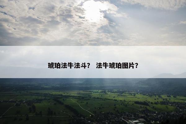 琥珀法牛法斗？ 法牛琥珀图片？