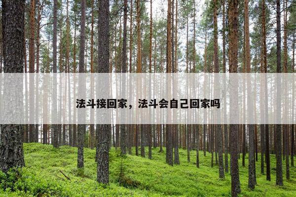 法斗接回家，法斗会自己回家吗