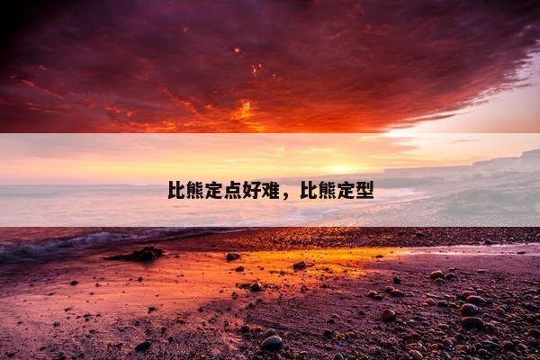 比熊定点好难，比熊定型