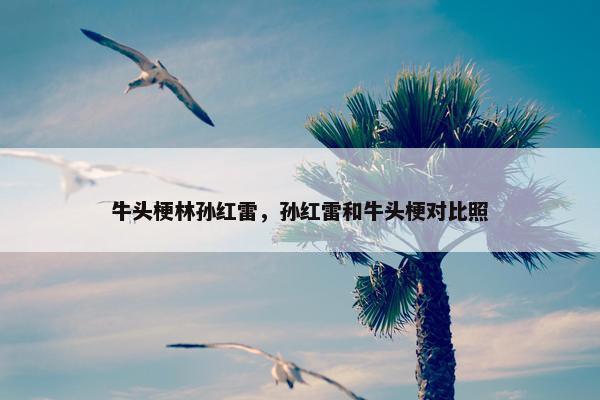 牛头梗林孙红雷，孙红雷和牛头梗对比照