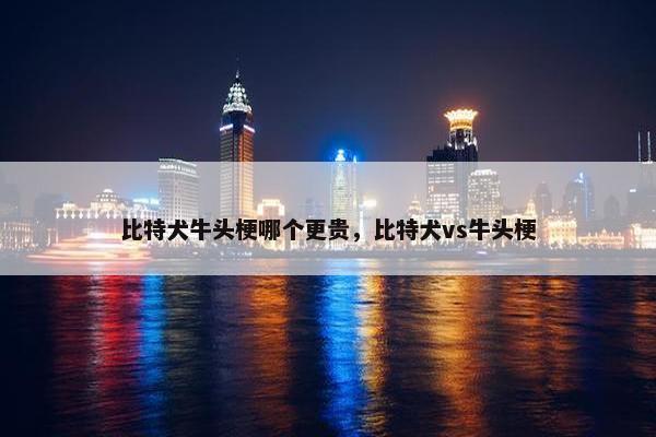 比特犬牛头梗哪个更贵，比特犬vs牛头梗