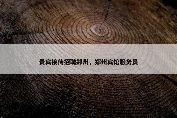 贵宾接待招聘郑州，郑州宾馆服务员