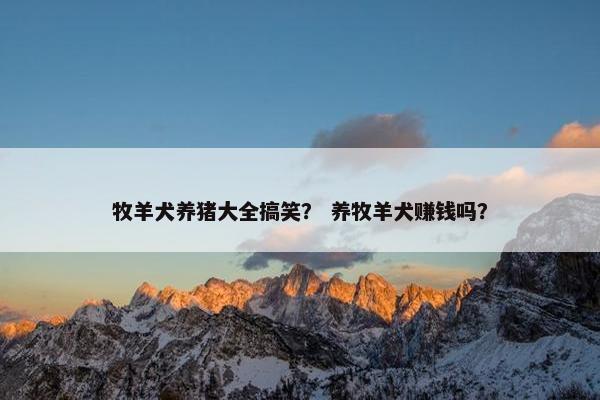 牧羊犬养猪大全搞笑？ 养牧羊犬赚钱吗？