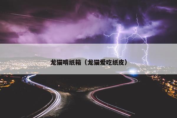 龙猫啃纸箱（龙猫爱吃纸皮）