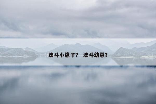 法斗小崽子？ 法斗幼崽？