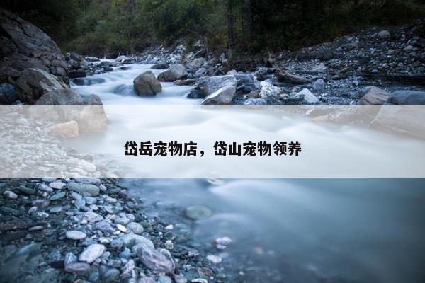 岱岳宠物店，岱山宠物领养