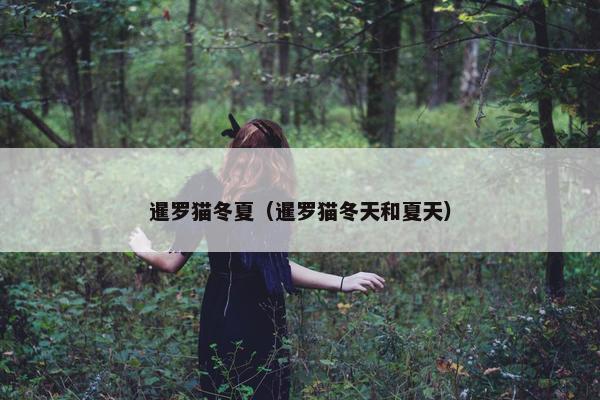 暹罗猫冬夏（暹罗猫冬天和夏天）
