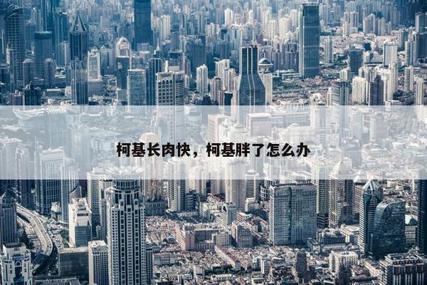 柯基长肉快，柯基胖了怎么办