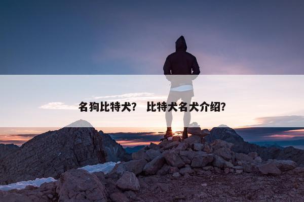 名狗比特犬？ 比特犬名犬介绍？