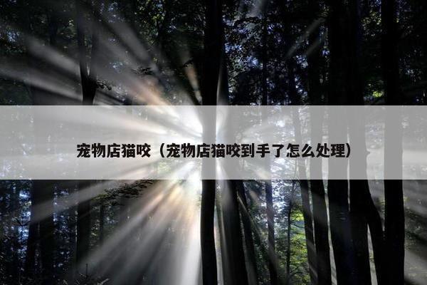 宠物店猫咬（宠物店猫咬到手了怎么处理）