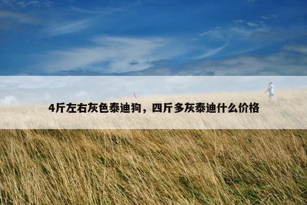 4斤左右灰色泰迪狗，四斤多灰泰迪什么价格