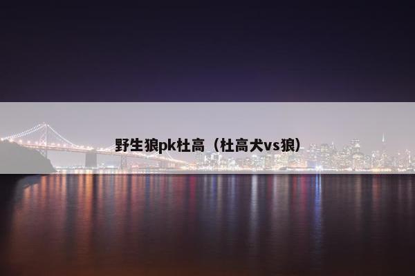 野生狼pk杜高（杜高犬vs狼）