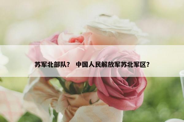 苏军北部队？ 中国人民解放军苏北军区？