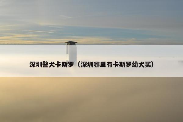 深圳警犬卡斯罗（深圳哪里有卡斯罗幼犬买）