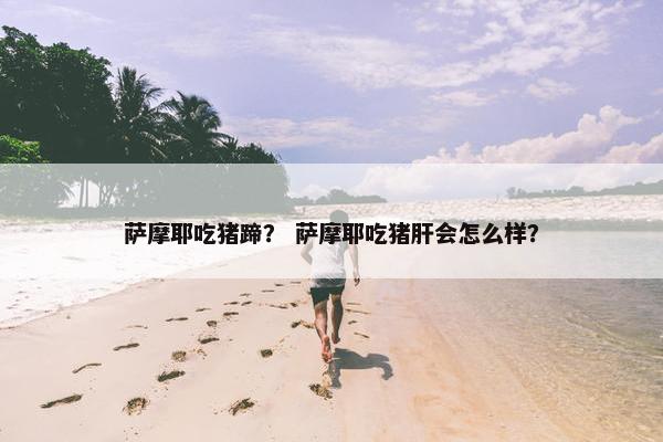 萨摩耶吃猪蹄？ 萨摩耶吃猪肝会怎么样？