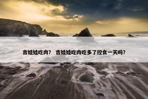吉娃娃吃肉？ 吉娃娃吃肉吃多了控食一天吗？
