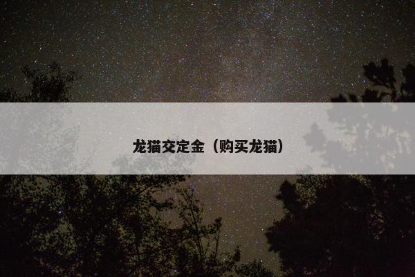 龙猫交定金（购买龙猫）