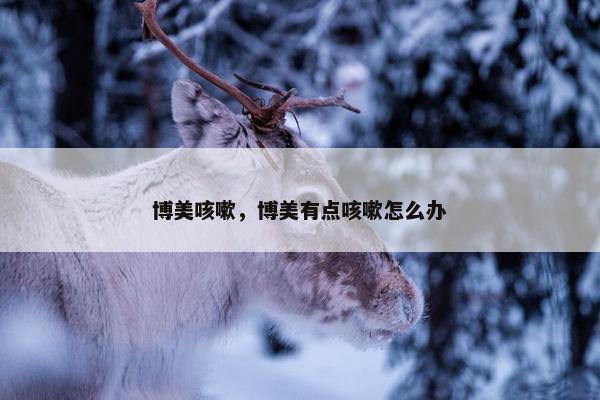 博美咳嗽，博美有点咳嗽怎么办