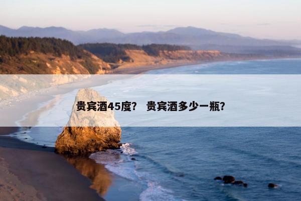 贵宾酒45度？ 贵宾酒多少一瓶？