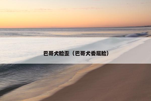巴哥犬脸歪（巴哥犬委屈脸）