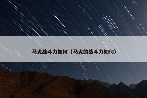 马犬战斗力如何（马犬的战斗力如何）