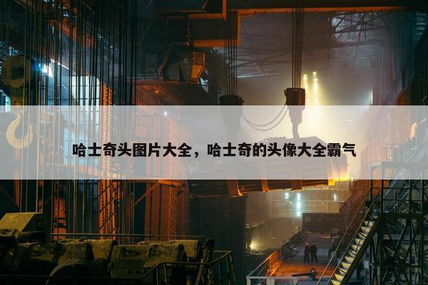 哈士奇头图片大全，哈士奇的头像大全霸气