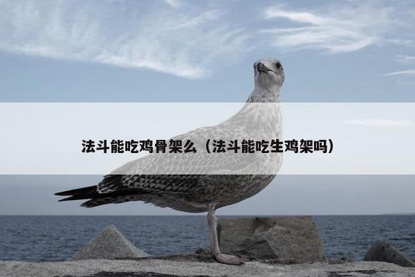 法斗能吃鸡骨架么（法斗能吃生鸡架吗）