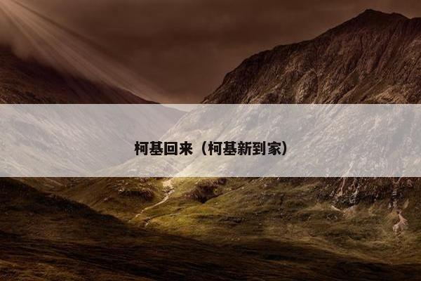 柯基回来（柯基新到家）