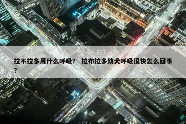 拉不拉多用什么呼吸？ 拉布拉多幼犬呼吸很快怎么回事？